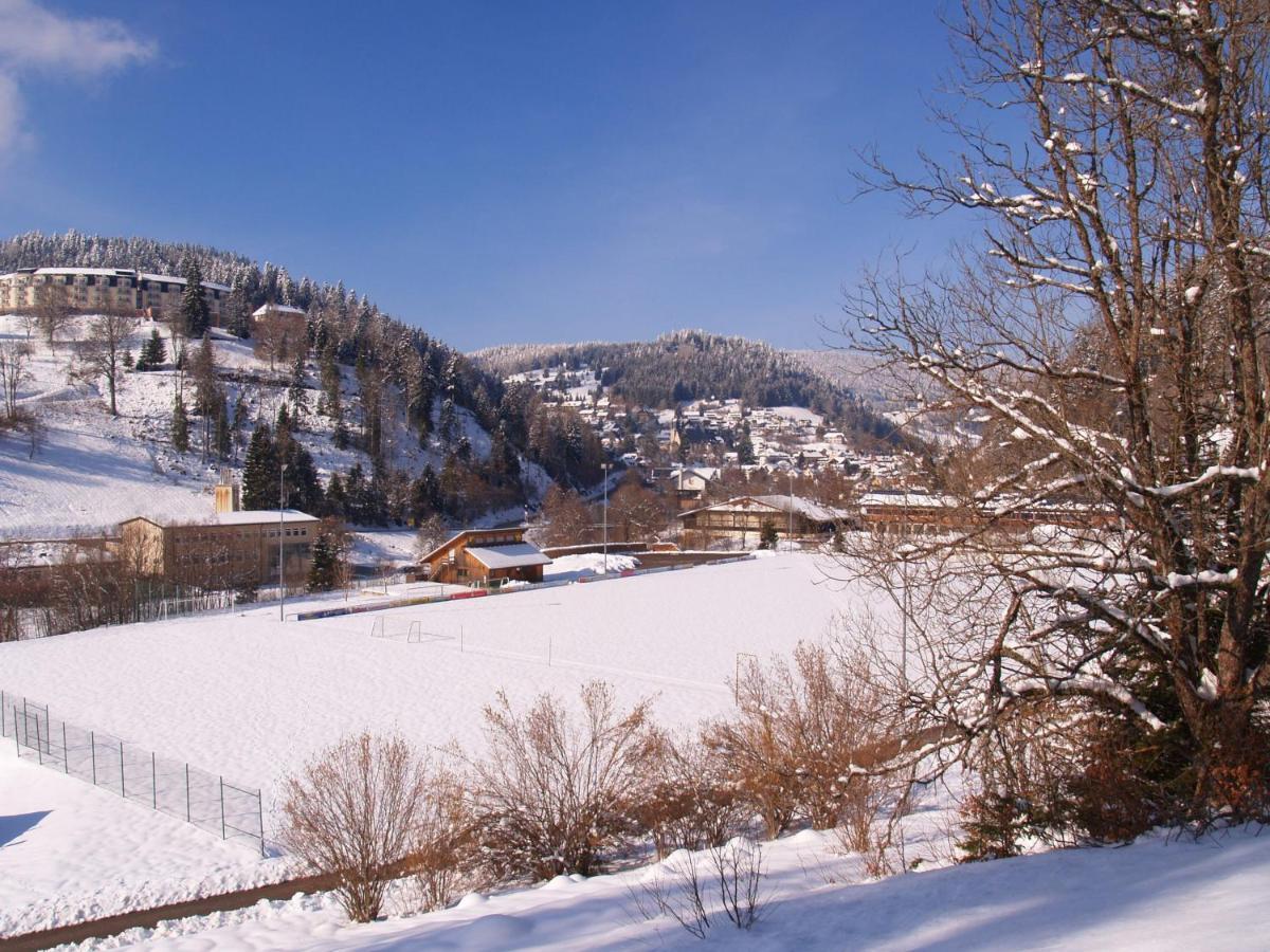 Birke 9, 10 Oder 11 Apartment Todtmoos Exterior photo