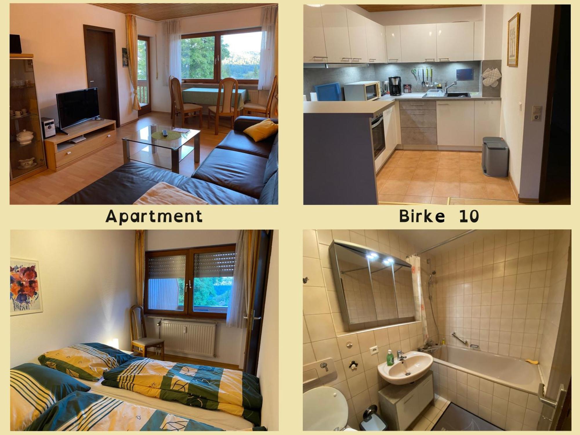 Birke 9, 10 Oder 11 Apartment Todtmoos Exterior photo